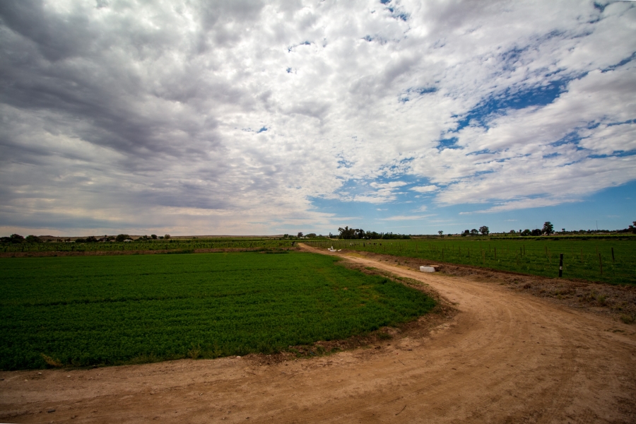 5 Bedroom Property for Sale in Louisvale Northern Cape